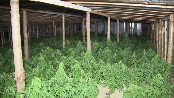 Sabunçu rayonunda axtarışda olan şəxs saxlanılıb.