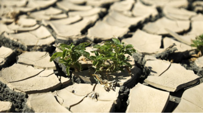 Proses sürətlənib - Alimlərdən xəbərdarlıq 