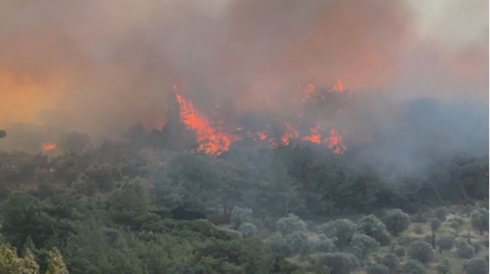 İzmir və Ədirnədə son vəziyyət... - FOTO