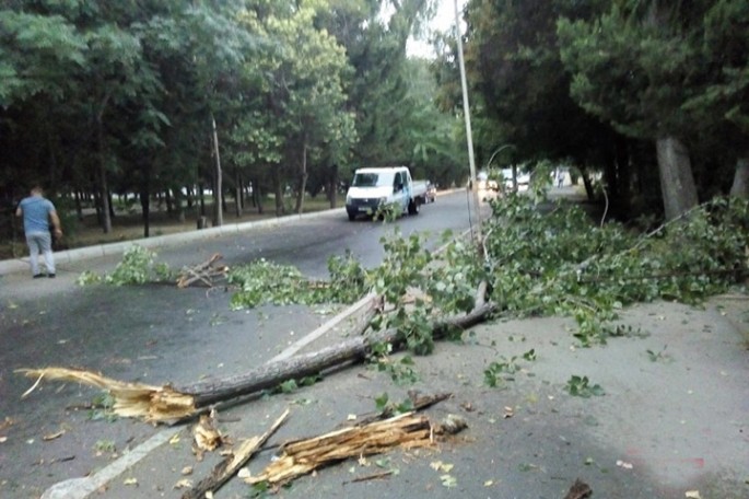 Güclü külək Mingəçevirdə ciddi fəsadlar törədib