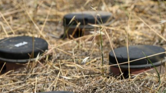 Nazir müavini:  “Azad edilmiş torpaqların minalanması bu ərazilərdə layihələri ləngidir”