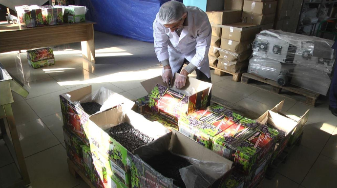 AQTA 75 obyektdə qayda pozuntusu aşkarladı