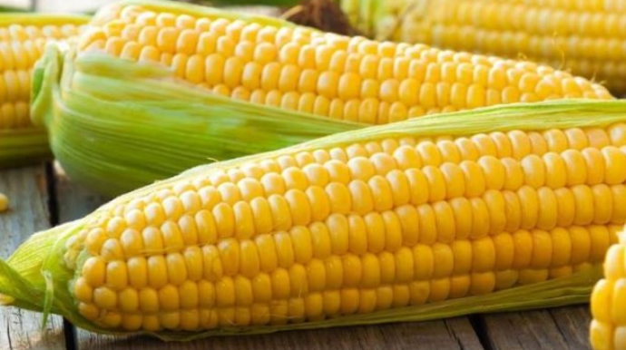 Qarğıdalı daşıyan gəmi Ukraynadan yola düşüb