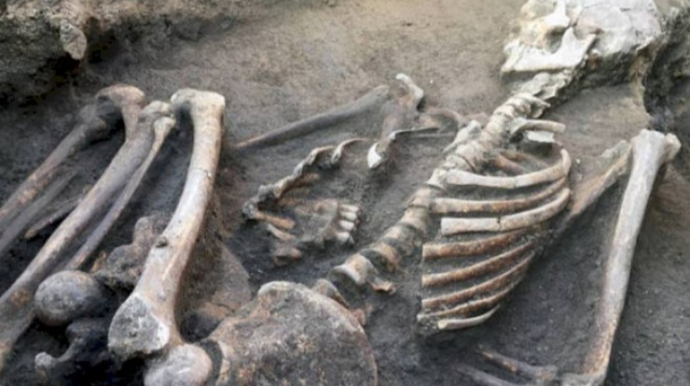 Meşədən insan skeletləri tapıldı 