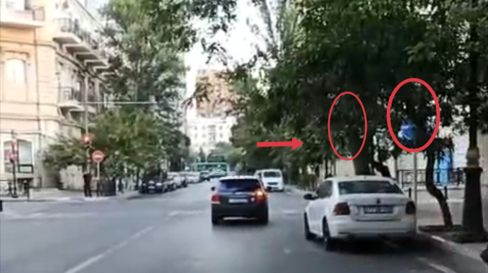 В Баку на этой дороге светофор и знаки не видны за деревьями -  Соответствующие органы не решают проблему - ВИДЕО 