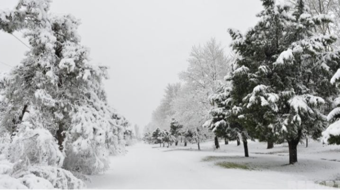 Bəzi ərazilərə qar yağıb - FAKTİKİ HAVA 