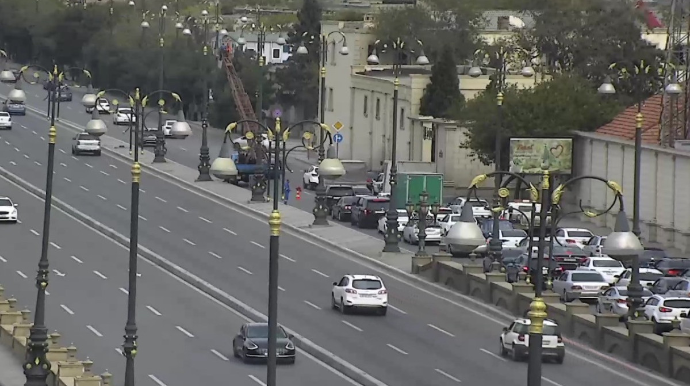 Yola çıxan iti xilas etmək istəyən 87 yaşlı Kərimi maşın vurdu, sürücü qaçdı 