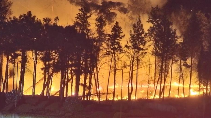 Минэкологии обратилось к населению в связи с опасностью пожаров в лесах 