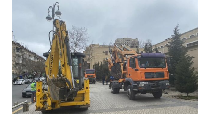 Yasamalda ağaclar niyə köçürülür? - Nazirlikdən CAVAB   - FOTO