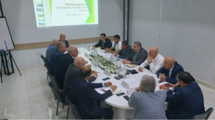 5 rayon üzrə qurumuş və ya qəzalı vəziyyətdə olan 85 ağacın götürülməsi müzakirə edilib  - FOTO