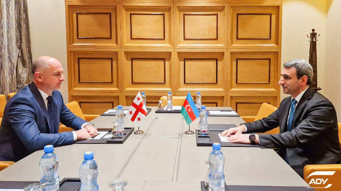 ADY sədri Rövşən Rüstəmov Tbilisidə gürcü həmkarı ilə görüşüb - FOTO