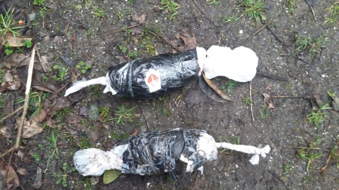 Azərbaycana narkotik vasitələrin keçirilməsinin qarşısı alınıb - FOTO