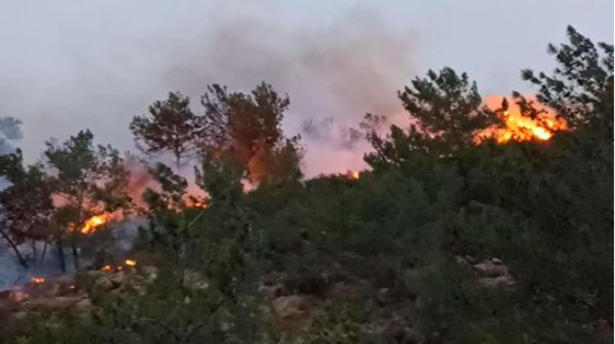 FHN əhaliyə çağırış etdi