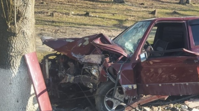 Şəkidə avtomobil ağaca çırpılıb, xəsarət alanlar var