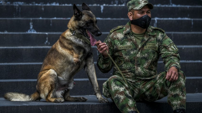 Kolumbiyada terrorçuların təyyarəni partlatmaq planının qarşısı alındı