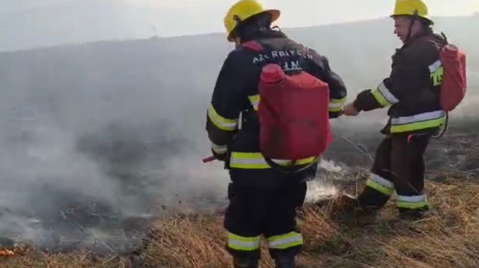 Gədəbəydə dağlıq ərazidə yanğın başladı - VİDEO