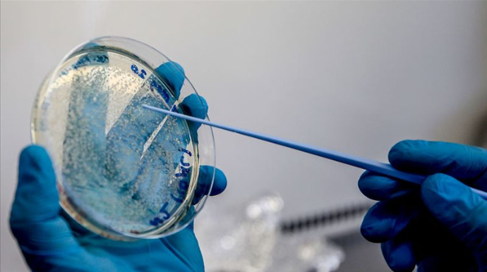 COVİD-19-la bağlı şad xəbər: il sonuna qədər...