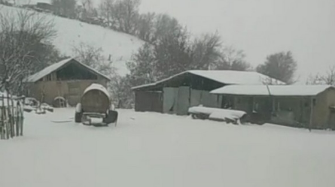 Güclü qar səbəbindən Cəlilabad-Yardımlı yolu bağlanıb, bəzi yaşayış məntəqələri işıqsız qalıb  - FOTO