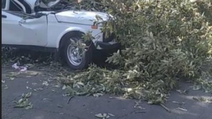 Palıd ağacı hərəkətdə olan "Niva"nın üstünə aşdı, ölən və yaralananlar var - FOTO