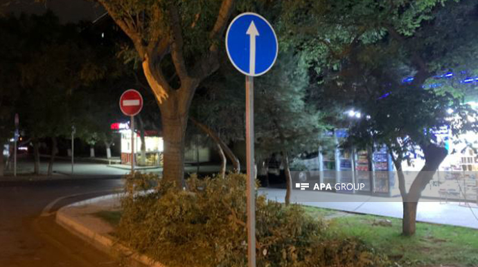 Bakıda ağac paytaxt sakinin üzərinə düşərək onu komatoz vəziyyətinə salıb  - VİDEO