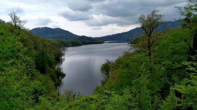 Hirkan Milli Parkının vəzifəli şəxsi azadlığa buraxıldı 