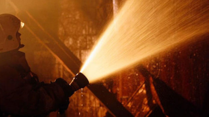 В Загатальском районе сгорели 300 цыплят