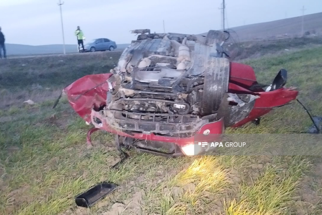 Три члена в одну дырку