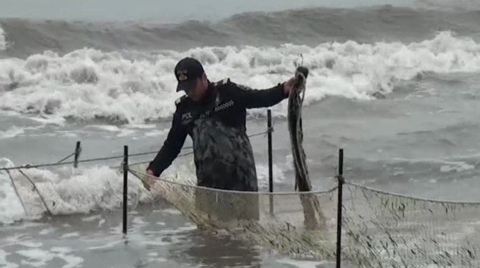 Qanunsuz balıq ovuna qarşı reyd keçirilib  - FOTO