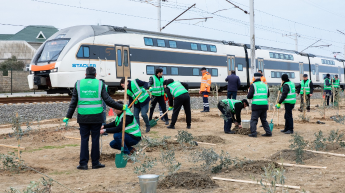 ADY ağacəkmə aksiyası təşkil edib - FOTO 