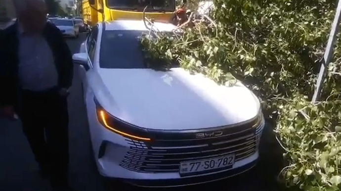 "Azadlıq"da güclü külək ağacı avtomobilin üzərinə aşırıb - VİDEO 