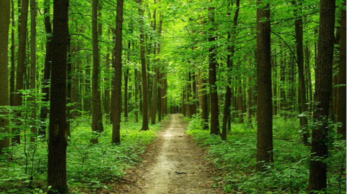 Həftəsonu rayonlarda hava necə olacaq?