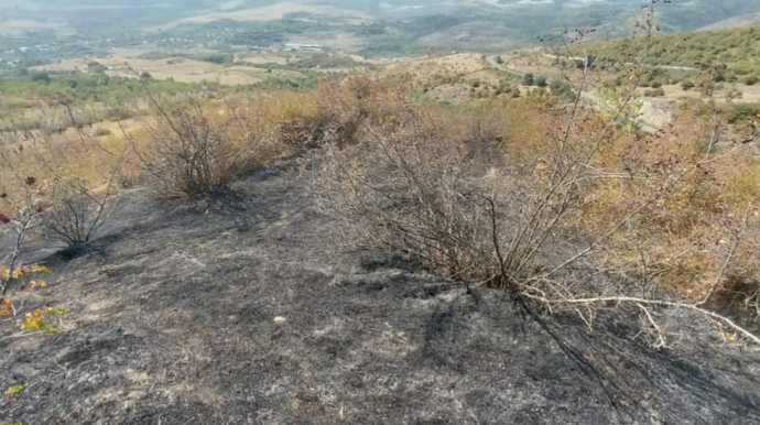 Füzuli və Xocavənddə yanğın törədənlər cəzalandırıldı - FOTO