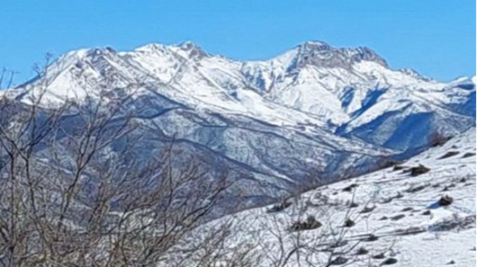 Ordumuzun nəzarətə götürdüyü Sarıbaba dağı...  - FOTO