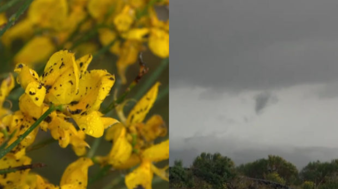 İtaliyaya “vulkan yağışı” yağdı:  Hava limanında uçuşlar ləğv edildi - VİDEO 