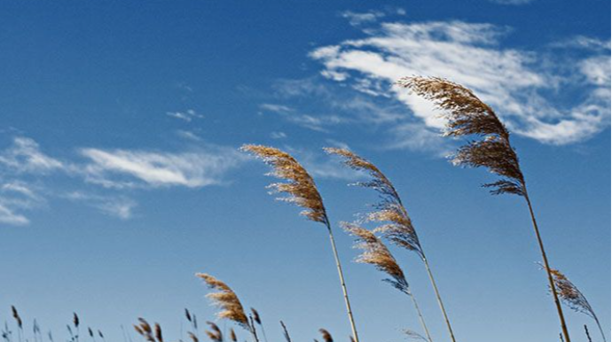 Sabahın hava proqnozu