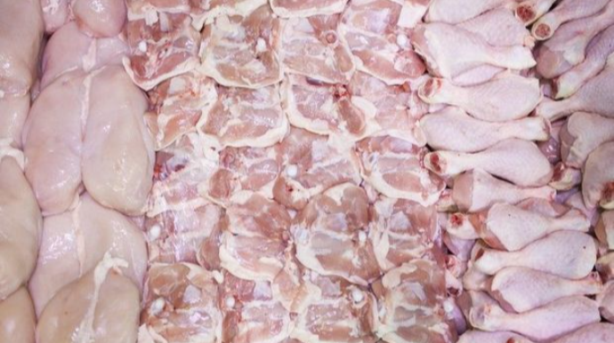 Bakıda it-pişik yemi olan toyuqlar əhaliyə satılır