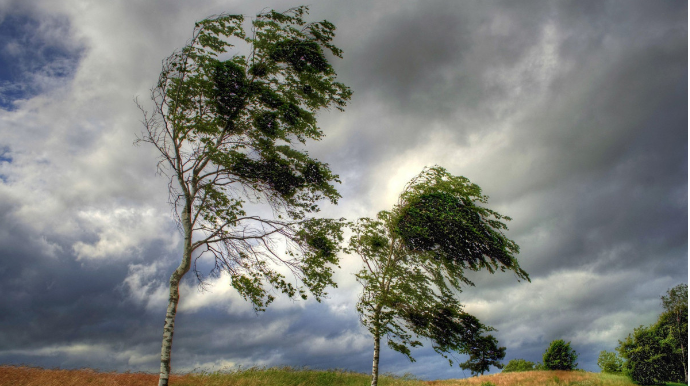 Sabah hava küləkli olacaq - XƏBƏRDARLIQ 