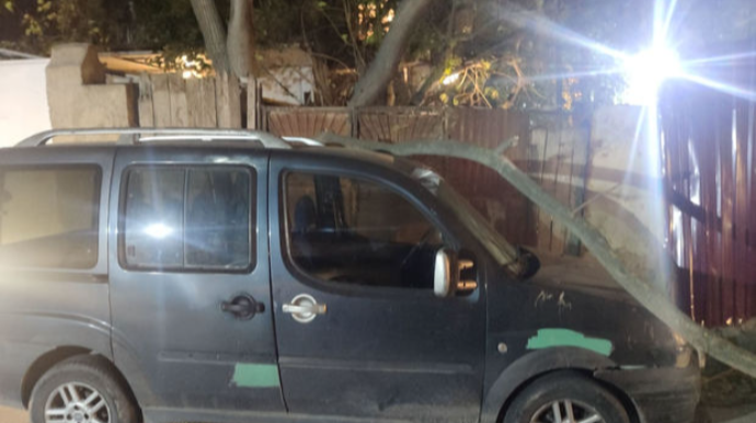 Bakının daha bir rayonunda külək ağacı avtomobilin üzərinə aşırdı  - FOTO