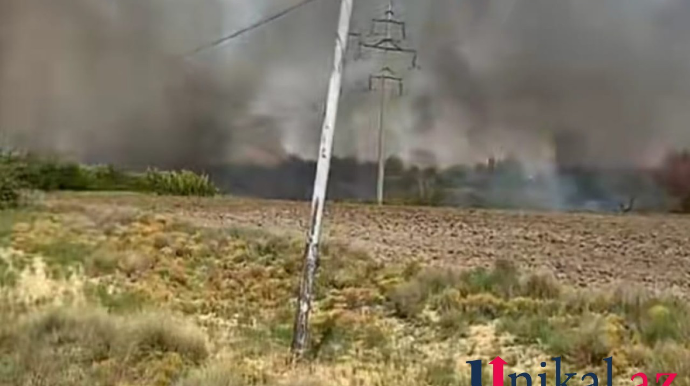 Samuxda açıq ərazidə yanğın başladı - FOTO