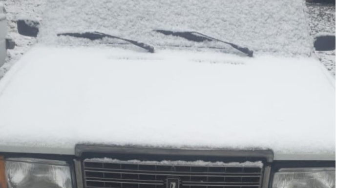 Narkotikin təsiri ilə maşın idarə edən sürücü TUTULDU