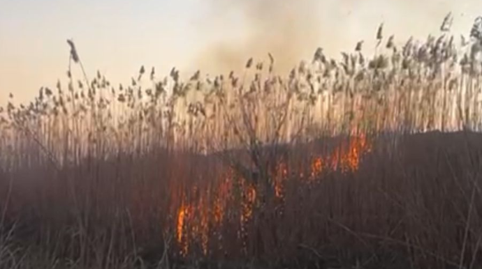 Cəbrayılda yanğın törədən şəxs saxlanıldı   - FOTO