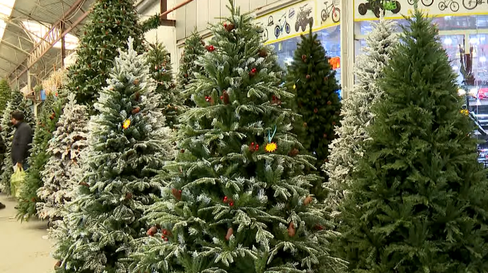 Avtomobil qiymətinə satılan bayram "yolka"ları - VİDEO