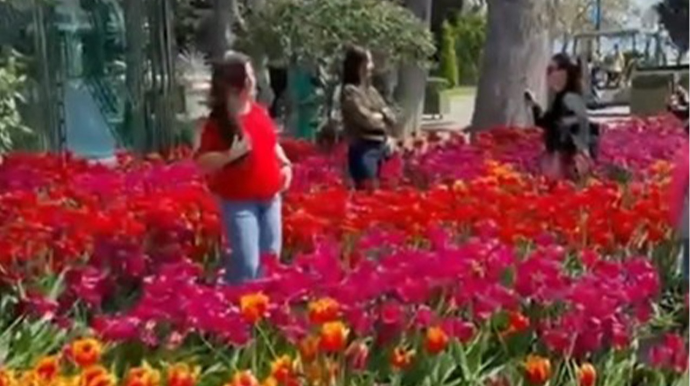 Bulvarda gülləri əzən 10 nəfər polisə çağırıldı - VİDEO