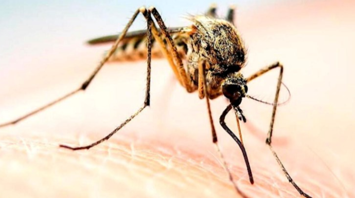 Ağcaqanadları daha çox cəlb edən qan qrupu 