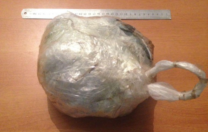 Şəki sakinindən narkotik vasitə götürülüb