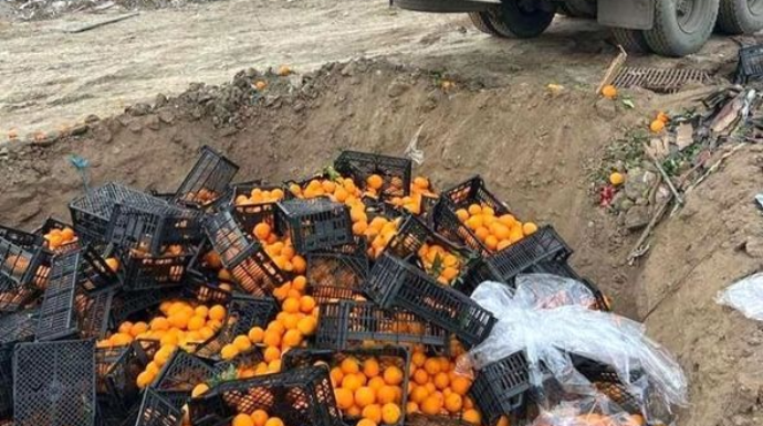 İrandan gətirilən tonlarla portağal məhv edildi