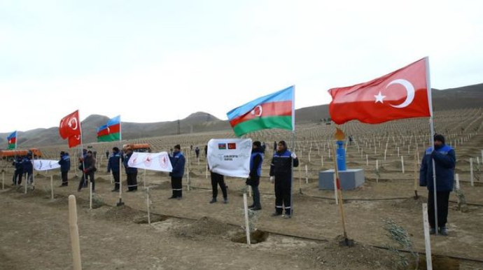 11 noyabrda 111 111 ağac əkiləcək   - FOTO