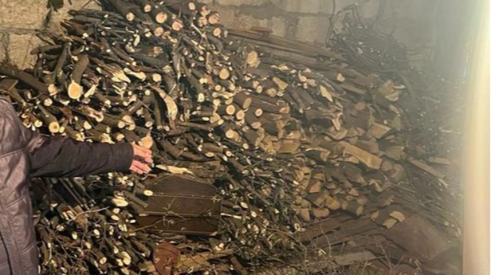 Ekologiyaya zərər verənlər cəzalandırıldılar  - FOTO