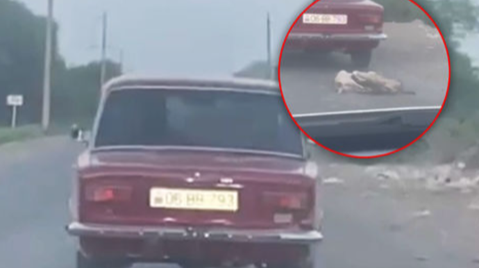 İtləri avtomobilə bağlayıb sürüyən şəxs müəyyən edildi - YENİLƏNİB - VİDEO 