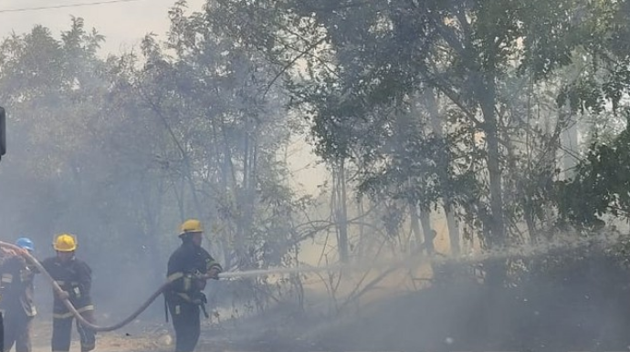 Şəkidə güclü yanğın:  külək yanğının bir neçə istiqamətdə genişlənməsinə səbəb olub  - FOTO